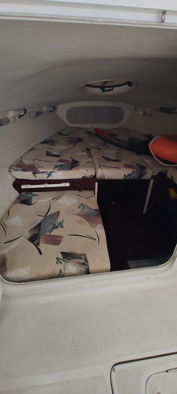 Chris Craft 19  1997 Volvo 270 SX